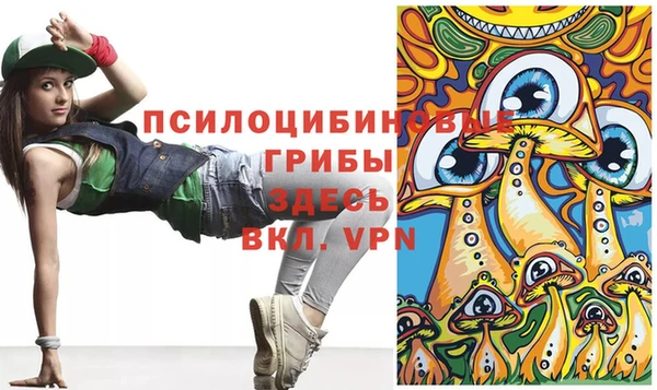 ГАЛЛЮЦИНОГЕННЫЕ ГРИБЫ Армянск