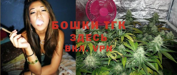 тгк Аркадак