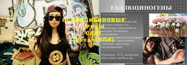 ГАЛЛЮЦИНОГЕННЫЕ ГРИБЫ Армянск
