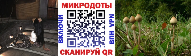 hydra маркетплейс  Мезень  Псилоцибиновые грибы MAGIC MUSHROOMS  купить наркоту 